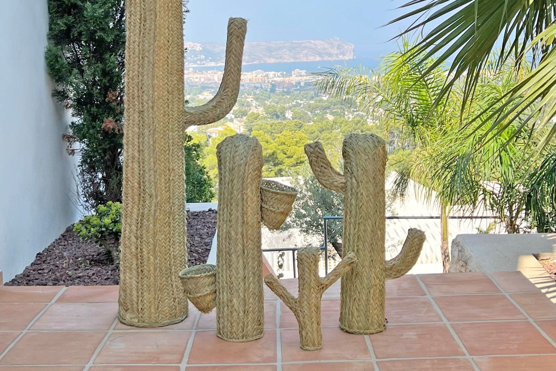 Cactus decorativos y figuras