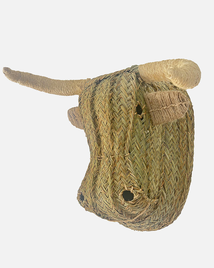 Cabeza de esparto Toro