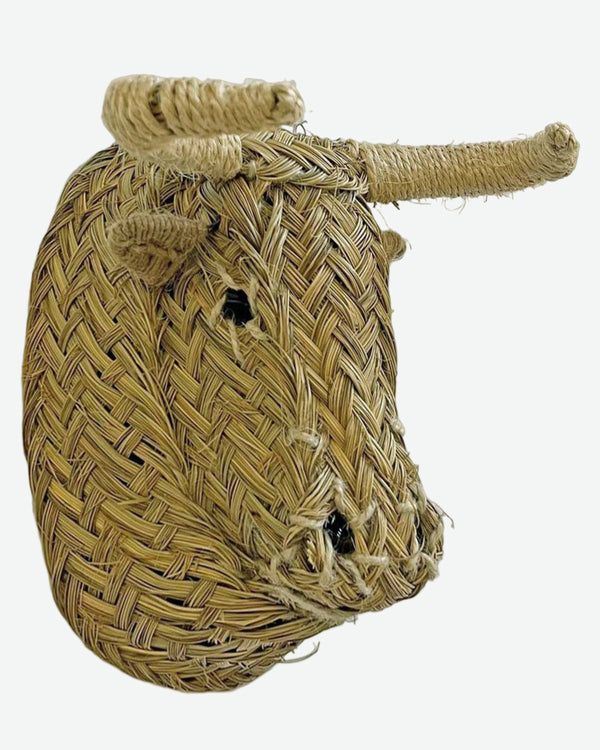 Cabeza de esparto Toro