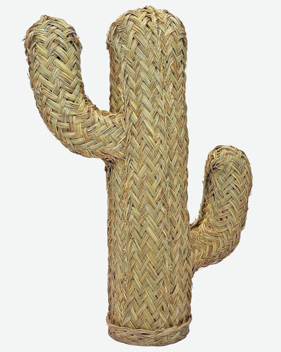 Teide Cactus