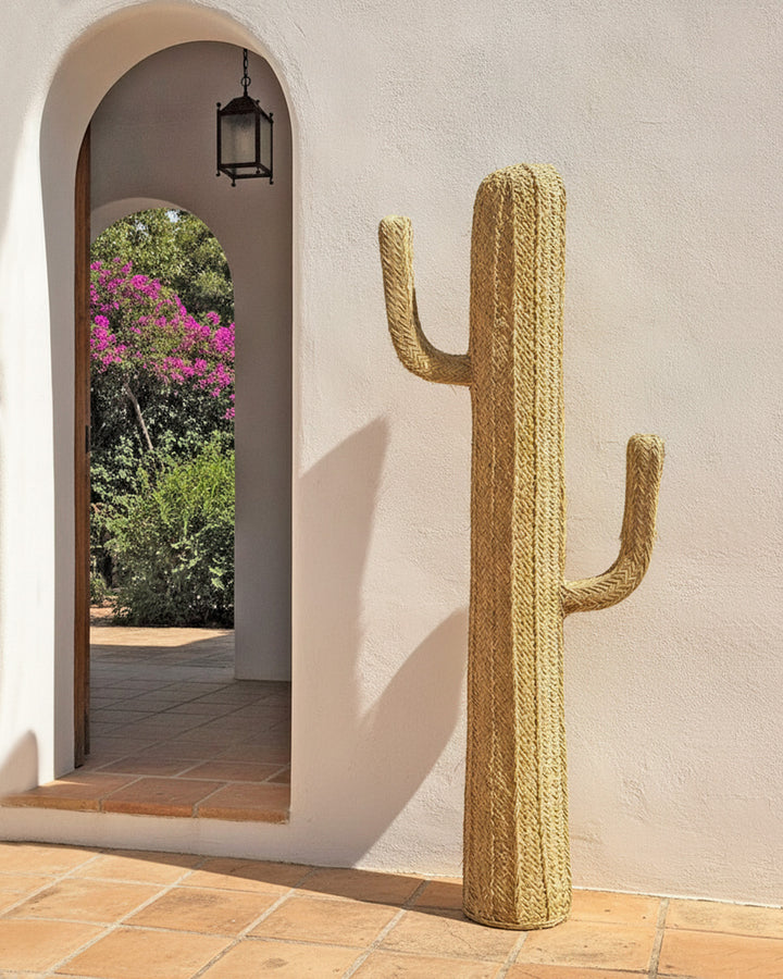 Cactus Teide