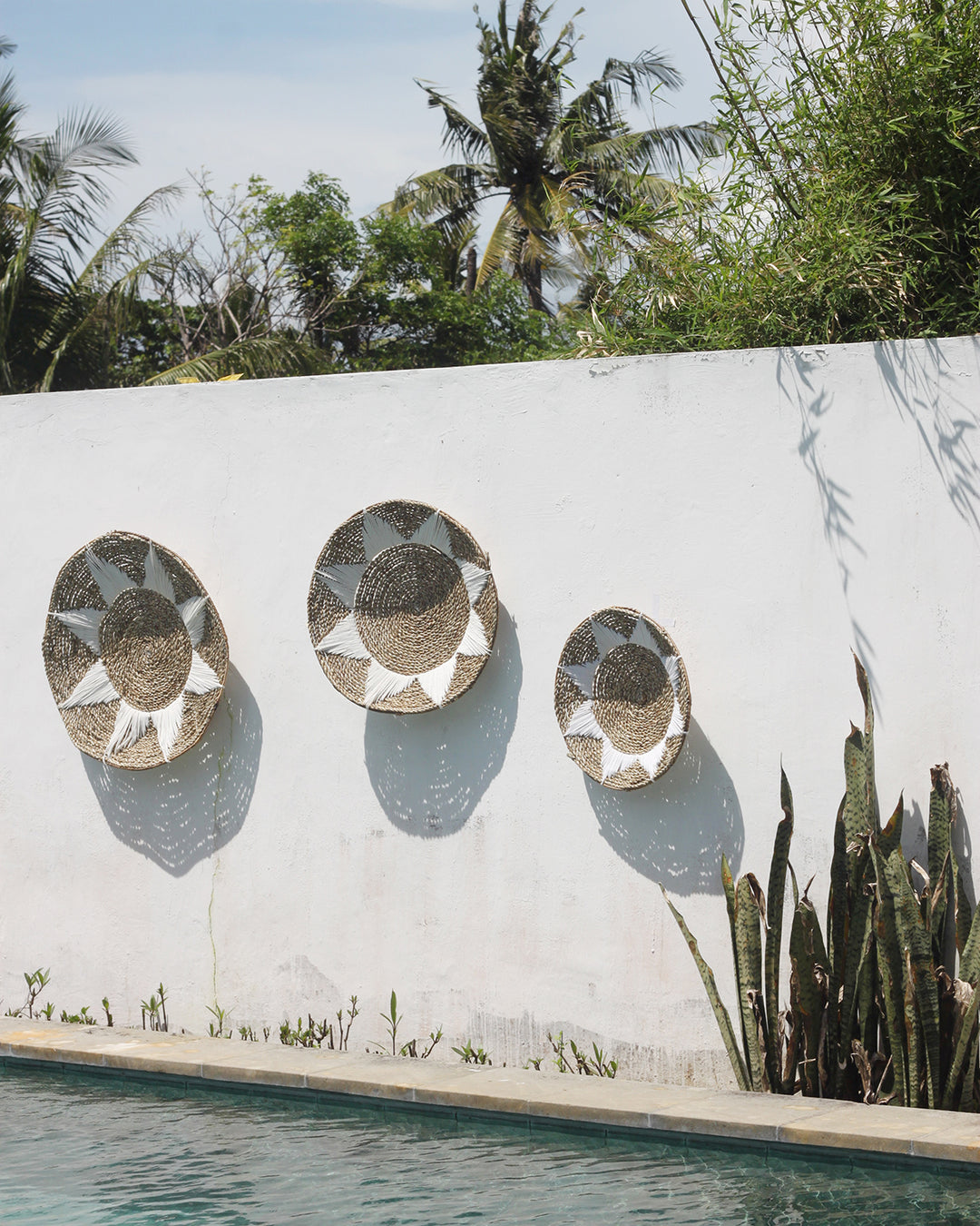 Plato Decorativo Natya